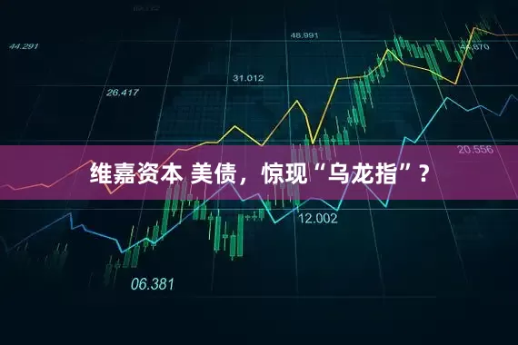 维嘉资本 美债，惊现“乌龙指”？