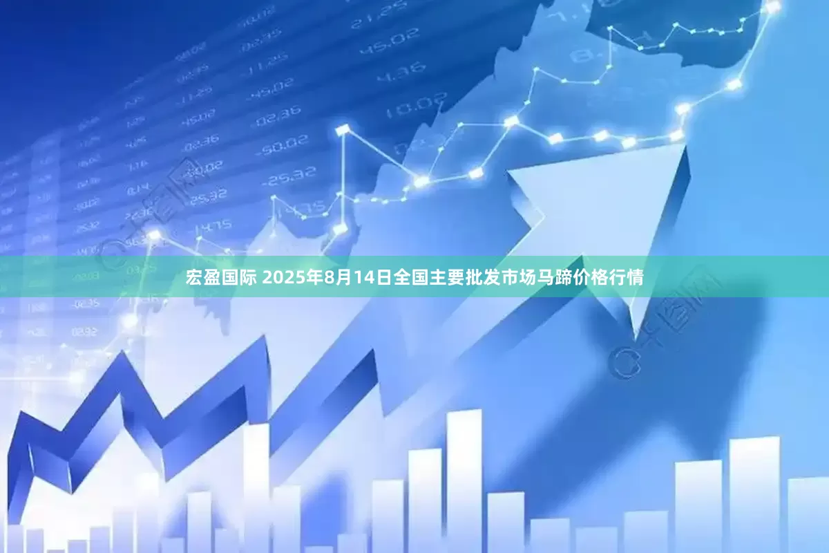 宏盈国际 2025年8月14日全国主要批发市场马蹄价格行情