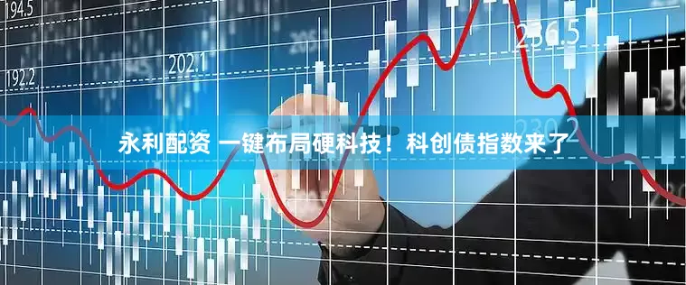 永利配资 一键布局硬科技！科创债指数来了