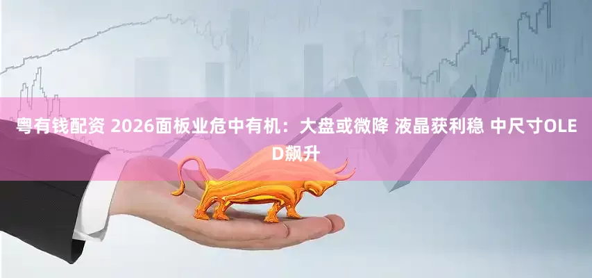 粤有钱配资 2026面板业危中有机：大盘或微降 液晶获利稳 中尺寸OLED飙升