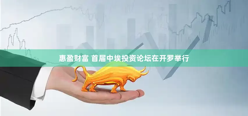惠盈财富 首届中埃投资论坛在开罗举行